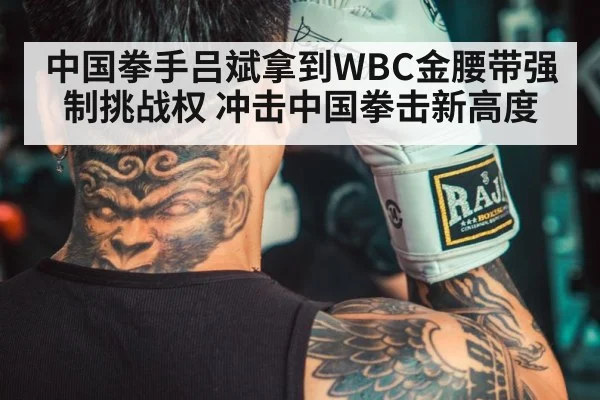 中国拳手吕斌拿到WBC金腰带强制挑战权 冲击中国拳击新高度
