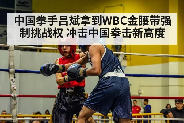 boxing match action